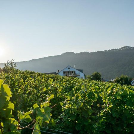 Weingut Johanneshof Minheim Exterior photo