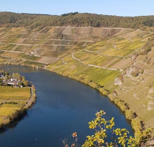 Weingut Johanneshof Minheim Exterior photo