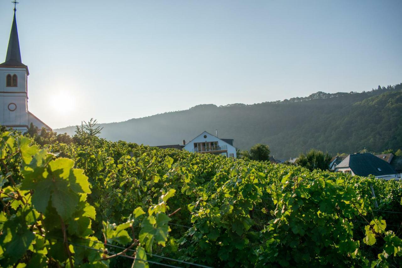 Weingut Johanneshof Minheim Exterior photo