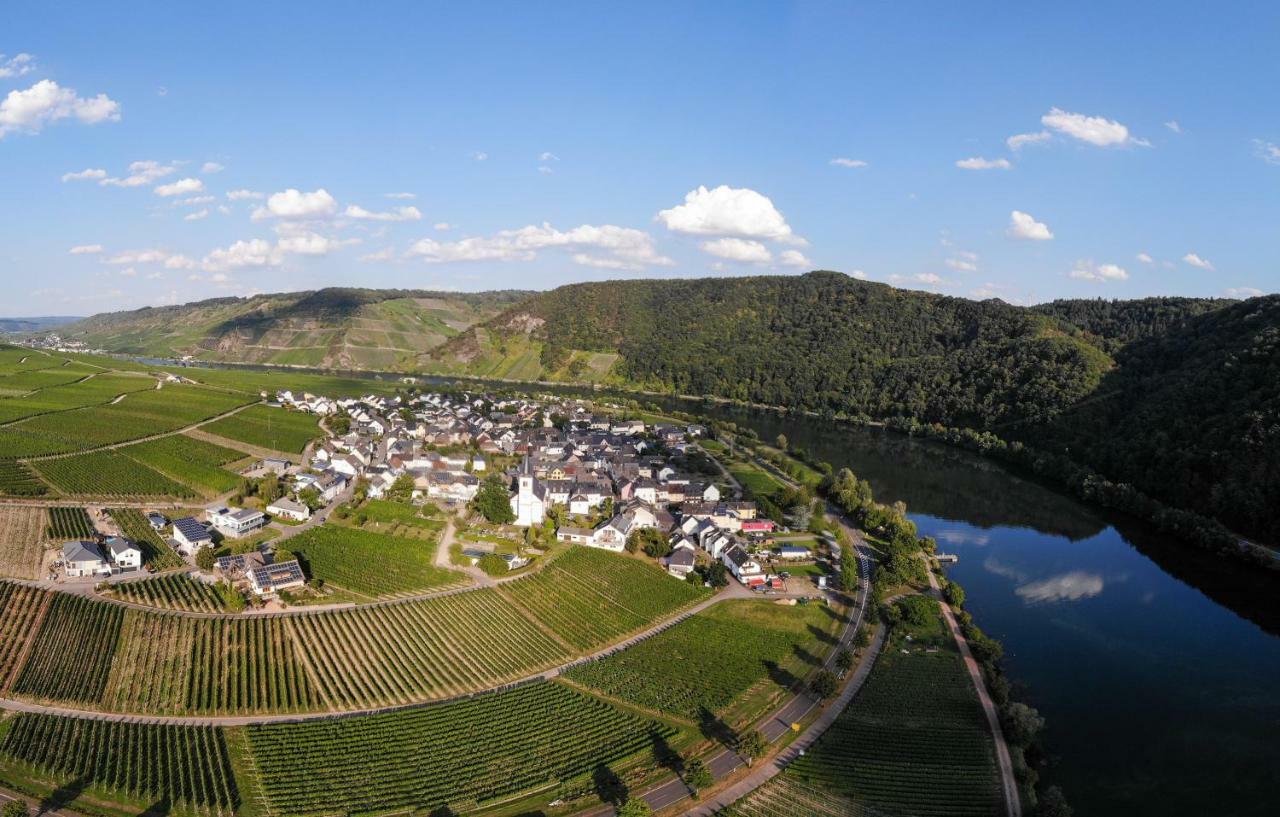 Weingut Johanneshof Minheim Exterior photo