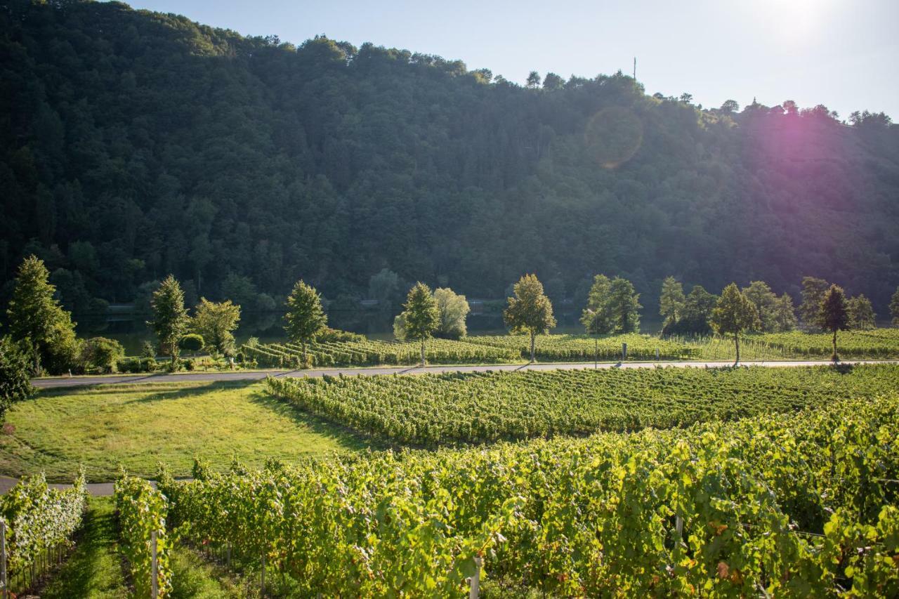 Weingut Johanneshof Minheim Exterior photo